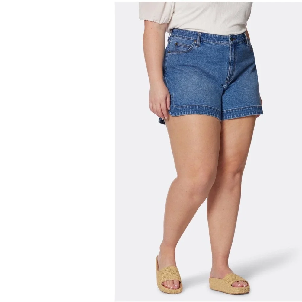 Joie Denim Tatum Dolphin Shorts Womens 20W Blue Excellent High Rise Notched Hem